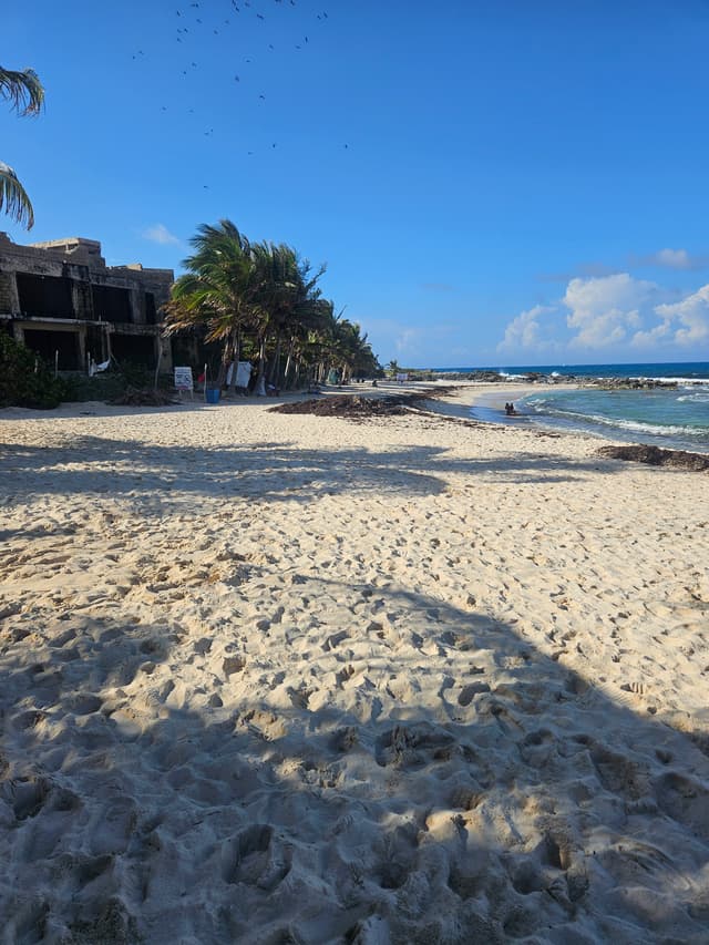 beach