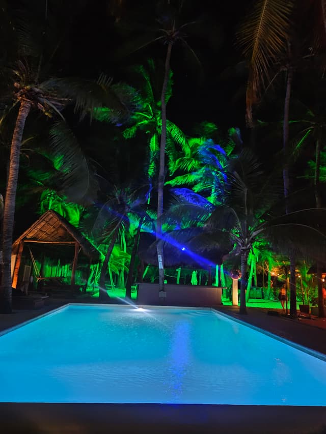 night life
